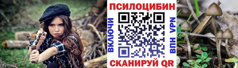 Галлюциногенные грибы мицелий  Устюжна 